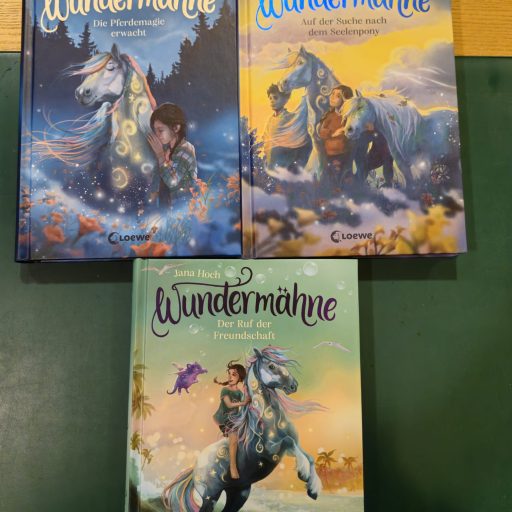 WhatsApp Image 2026-01-12 at 15.41.39